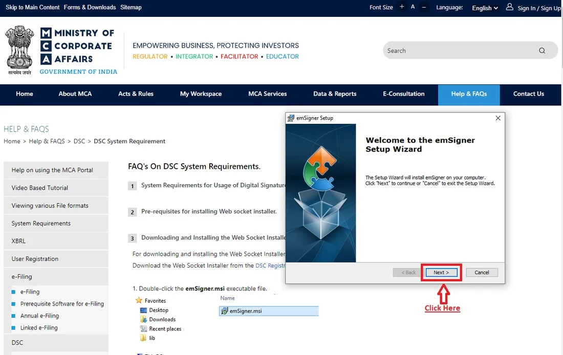 emSigner Setup Wizard welcome screen with the Next button highlighted